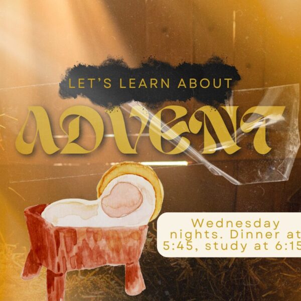 Advent Series (2)